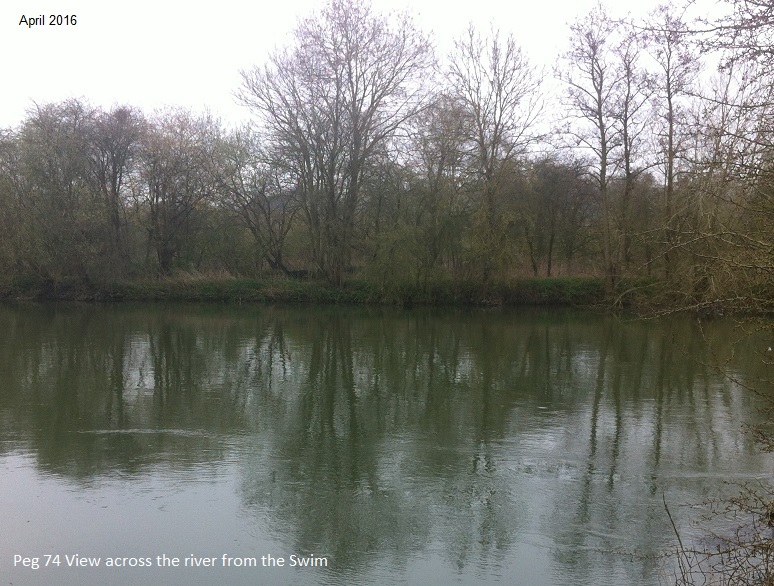 ACROSS SWIM VIEW